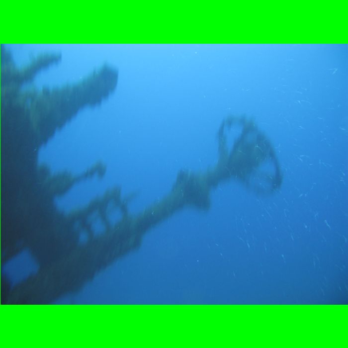Dive WP Wrecks 25-Oct-09_259.JPG